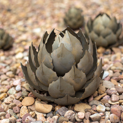 Artichoke Agave