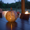 Mocha <br> Coffee Series | Squatty Luminary